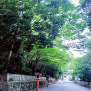 ヒメ日記 2026/08/03 07:42 投稿 桃(もも) PLUS東大阪店（高井田・長田）
