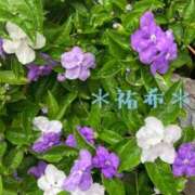 祐希(ゆうき) 急〜に夏🌞ですね✨ PLUS東大阪店（高井田・長田）