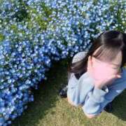 ヒメ日記 2026/04/21 12:26 投稿 真宮いろは 皇帝別館（こうていべっかん）