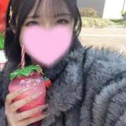 ヒメ日記 2026/04/23 16:32 投稿 せりか ピンクコレクション尼崎店