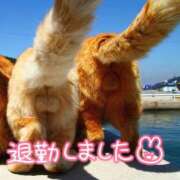ヒメ日記 2026/04/28 01:13 投稿 れん いわき小名浜ちゃんこ