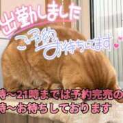 ヒメ日記 2026/06/17 18:23 投稿 れん いわき小名浜ちゃんこ