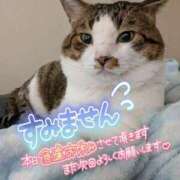 れん 体調不良… いわき小名浜ちゃんこ