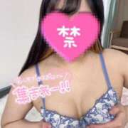 ヒメ日記 2026/04/23 23:46 投稿 しろか 柏人妻花壇