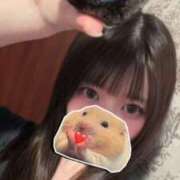 ヒメ日記 2026/05/30 08:19 投稿 ほまれ　眩い笑顔が愛らしい美女 CELEB FACE NAKASU