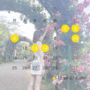 ヒメ日記 2026/05/27 18:06 投稿 神童 せいな ライオンズクラブ