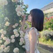 ヒメ日記 2026/06/01 18:01 投稿 神童 せいな ライオンズクラブ