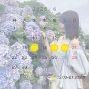 ヒメ日記 2026/06/11 15:29 投稿 神童 せいな ライオンズクラブ