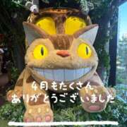 ヒメ日記 2026/05/01 14:39 投稿 江浦まつり ワイフの楽園