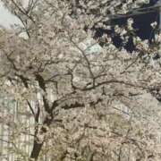 るん るん（エコ日本橋店） スピードエコ日本橋店