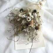 ヒメ日記 2026/04/22 16:59 投稿 るん スピードエコ日本橋店