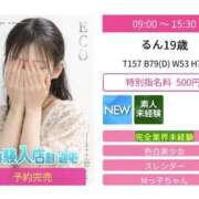 ヒメ日記 2026/05/19 09:09 投稿 るん スピードエコ日本橋店