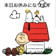 ヒメ日記 2026/09/23 07:43 投稿 るん スピードエコ日本橋店
