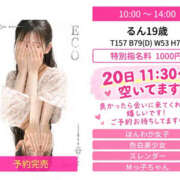 ヒメ日記 2026/10/14 09:13 投稿 るん スピードエコ日本橋店