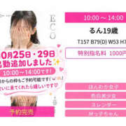 ヒメ日記 2026/10/14 09:23 投稿 るん スピードエコ日本橋店