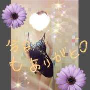 ヒメ日記 2026/05/27 18:25 投稿 花村美紅 プルデリR40