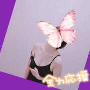 ヒメ日記 2026/06/01 20:16 投稿 花村美紅 プルデリR40