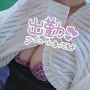 ヒメ日記 2026/07/31 14:03 投稿 さくら 人妻熟女の秘密の関係　熊谷店