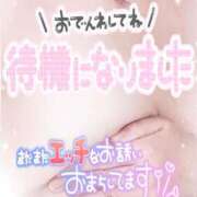 ヒメ日記 2026/09/01 11:33 投稿 ひかり 人妻熟女の秘密の関係　熊谷店