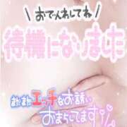 ヒメ日記 2026/09/01 16:03 投稿 ひかり 人妻熟女の秘密の関係　熊谷店