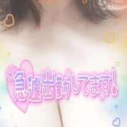 ヒメ日記 2026/09/02 22:53 投稿 ひかり 人妻熟女の秘密の関係　熊谷店
