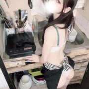 ヒメ日記 2026/04/29 13:16 投稿 もこ ナチュラルプリンセス