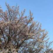 ヒメ日記 2026/04/23 01:35 投稿 詩多-うた【FG系列】 ほんつま 沼津店 (FG系列)