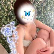 ヒメ日記 2026/05/19 07:26 投稿 New-渚 胡桃☆聡明清楚な秘書風美女 MARVELOUS