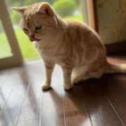 ヒメ日記 2026/04/30 05:42 投稿 るか 出会い系人妻ネットワーク さいたま～大宮編