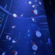 ヒメ日記 2026/04/30 10:12 投稿 るか 出会い系人妻ネットワーク さいたま～大宮編