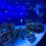 ヒメ日記 2026/04/30 12:02 投稿 るか 出会い系人妻ネットワーク さいたま～大宮編