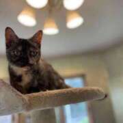 ヒメ日記 2026/04/30 16:02 投稿 るか 出会い系人妻ネットワーク さいたま～大宮編