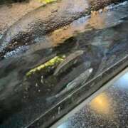ヒメ日記 2026/04/27 15:54 投稿 るか 出会い系人妻ネットワーク 春日部〜岩槻編