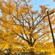 ヒメ日記 2026/04/29 21:54 投稿 るか 出会い系人妻ネットワーク 春日部〜岩槻編