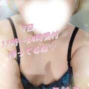 ヒメ日記 2026/07/07 02:21 投稿 佐伯　こはる ミセスサマンサPLUS