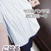 ヒメ日記 2026/07/13 15:42 投稿 佐伯　こはる ミセスサマンサPLUS