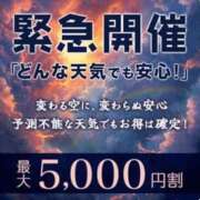 ヒメ日記 2026/06/27 09:23 投稿 すいれん 小岩人妻花壇