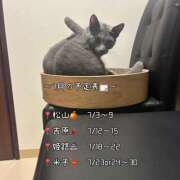 ヒメ日記 2026/06/21 17:04 投稿 りこ I❤HIMEJI（アイラブ姫路）