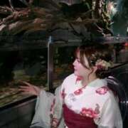 ヒメ日記 2026/08/09 19:45 投稿 すい【お尻×愛嬌×刺激】 ロマネ