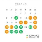 ヒメ日記 2026/09/07 12:55 投稿 れい【美人×美乳×美尻】 ロマネ