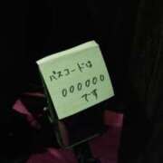 ヒメ日記 2026/09/26 21:40 投稿 （長野市発）奈穂（なほ）お姉様 コインダムール(松本)