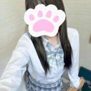 ヒメ日記 2026/05/15 15:04 投稿 綾波 こと アリス女学院 日本橋校