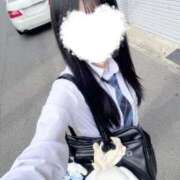 ヒメ日記 2026/09/12 12:03 投稿 綾波 こと アリス女学院 日本橋校