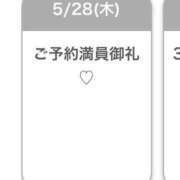RIRIKA 今日も さくらん東京
