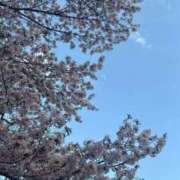 ヒメ日記 2026/05/02 19:03 投稿 沢木あゆか お姉さんCLUB