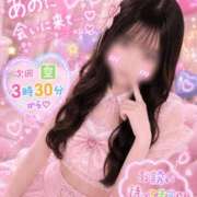 ヒメ日記 2026/05/07 02:17 投稿 あの【色気満点大学生】 STELLA TOKYO－ステラトウキョウ－