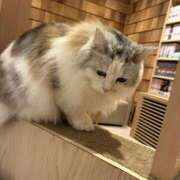 ヒメ日記 2026/06/16 23:27 投稿 じゅん 宮崎ちゃんこ中央通店