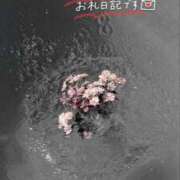 ヒメ日記 2026/09/15 00:24 投稿 じゅん 宮崎ちゃんこ中央通店