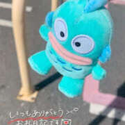 ヒメ日記 2026/10/20 22:29 投稿 じゅん 宮崎ちゃんこ中央通店