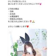 ヒメ日記 2026/05/17 10:02 投稿 みなと JAPAN CLUB BUNNY LOUNGE